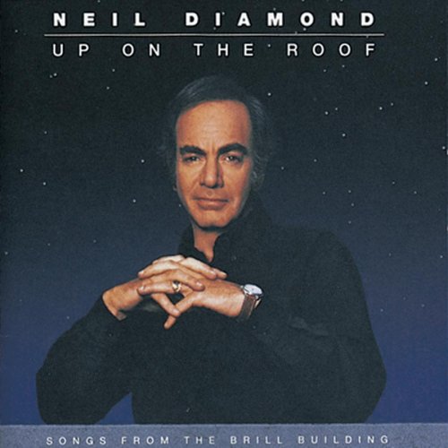 funny birthday songs. Neil Diamond - Happy Birthday